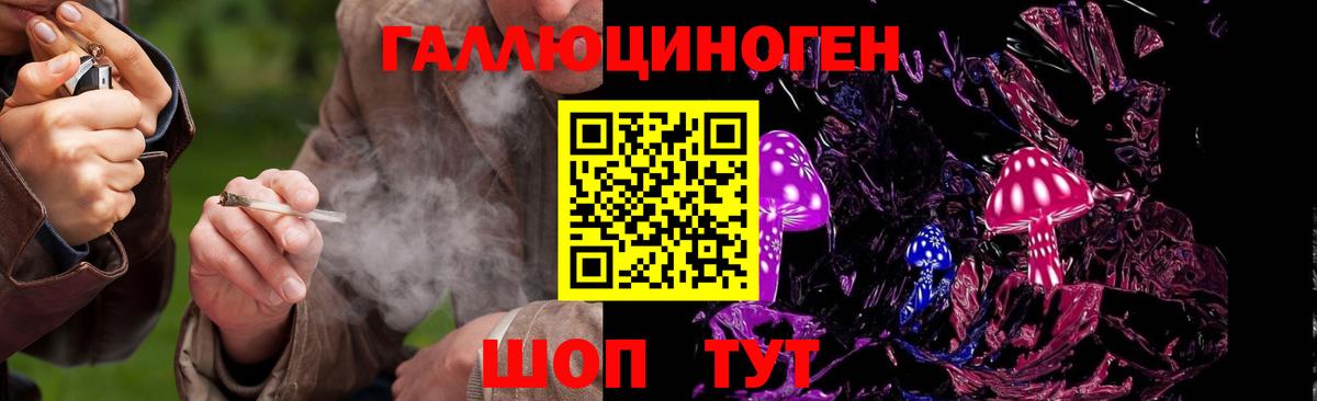 Галлюциногенные грибы GOLDEN TEACHER  Псилоцибиновые грибы GOLDEN TEACHER  Ульяновск  Вход с VPN 